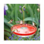 HummZinger High View - 16oz