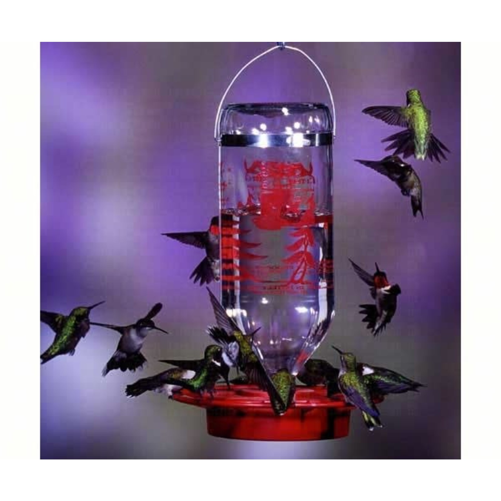 Best-1 Hummingbird Feeder - 32 oz