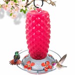 Renaissance Ruby Hummingbird Feeder