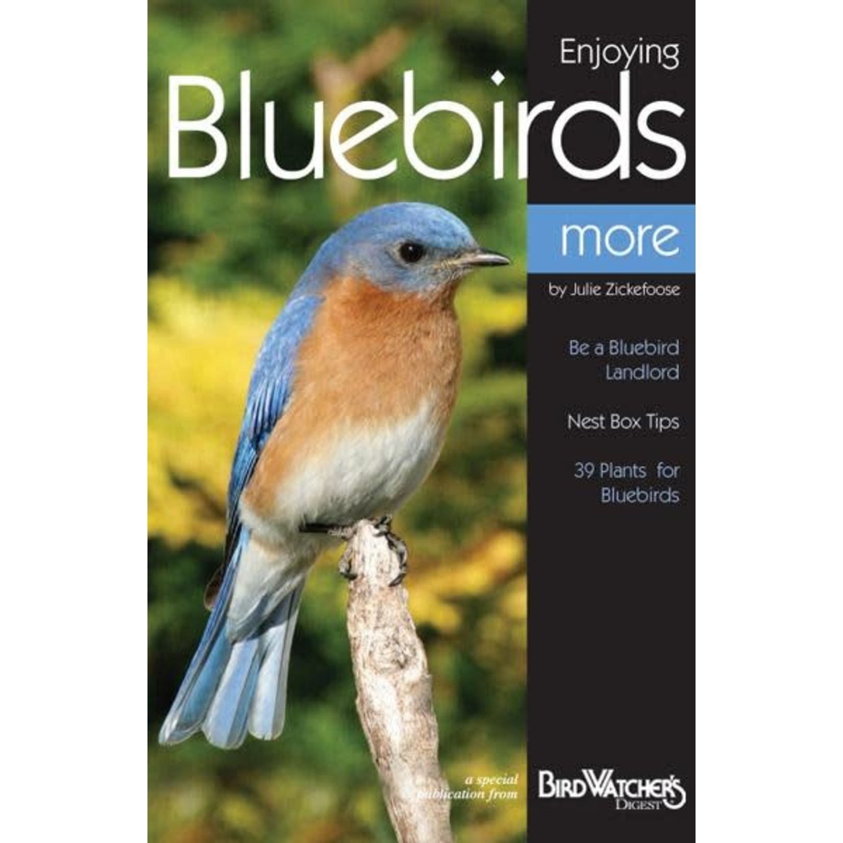 BWD: Enjoying Bluebirds More