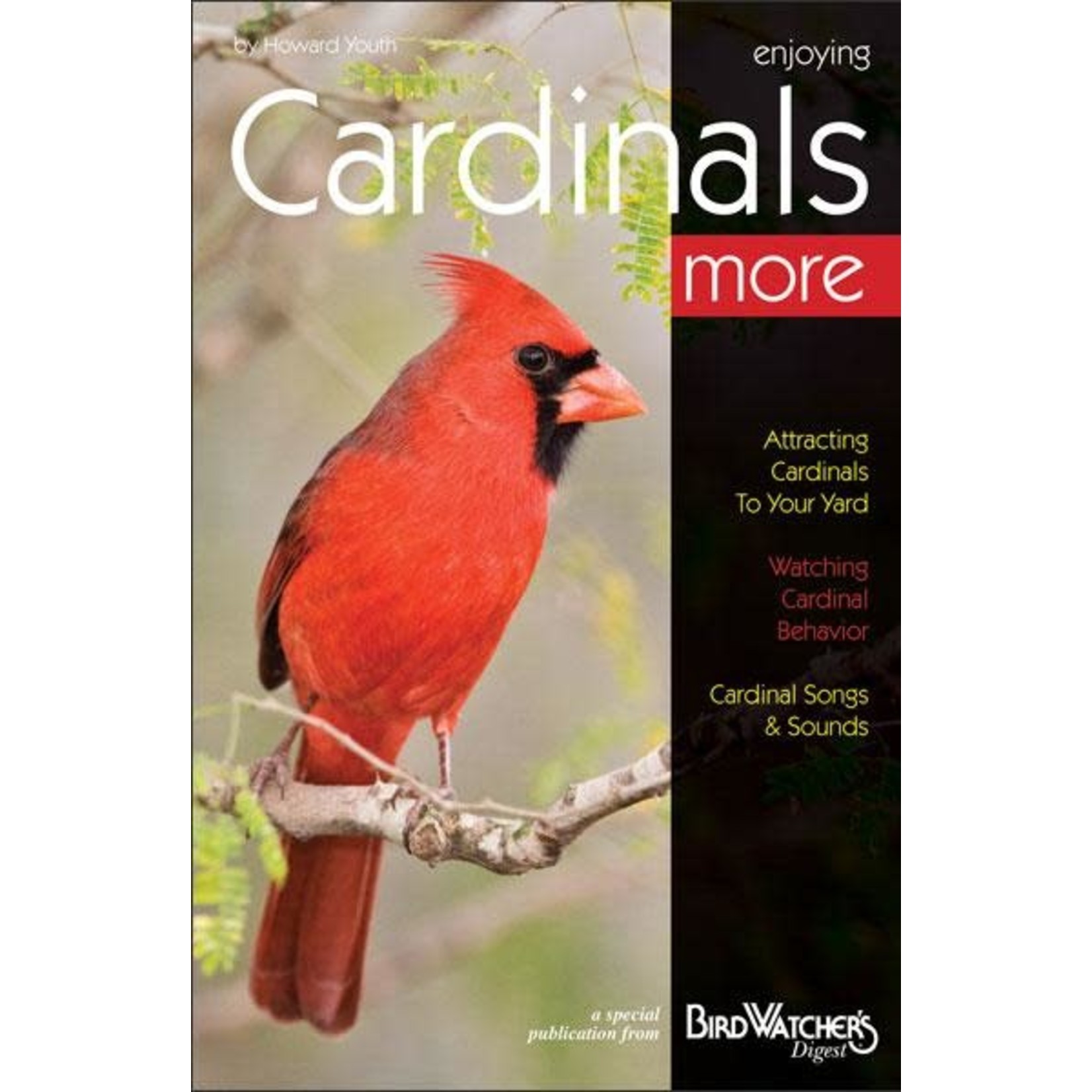 BWD: Enjoying Cardinals More