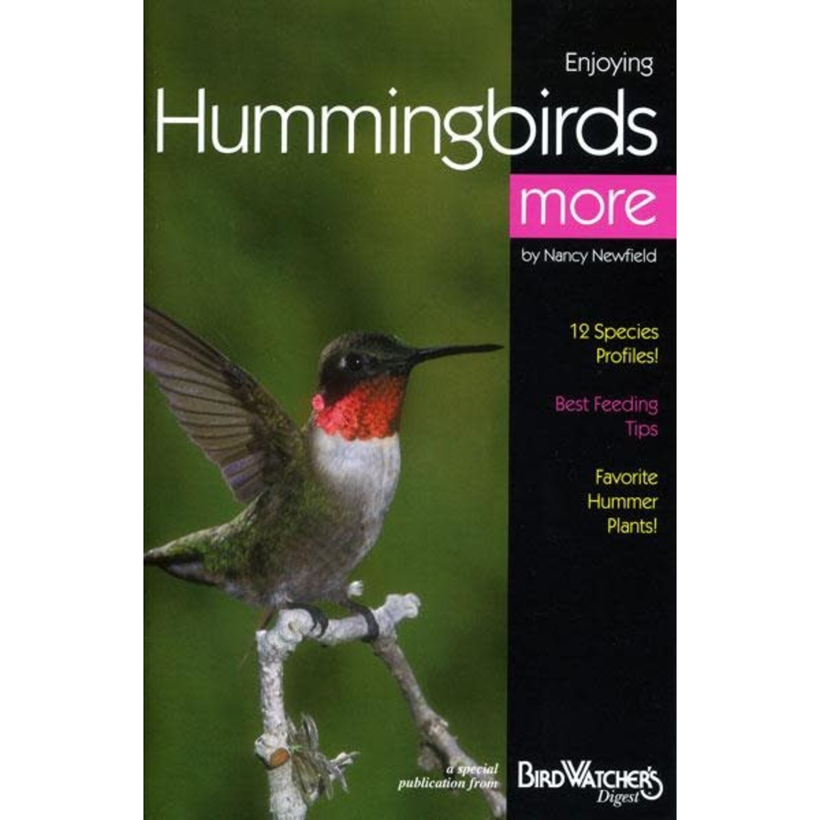 BWD: Enjoying Hummingbirds More