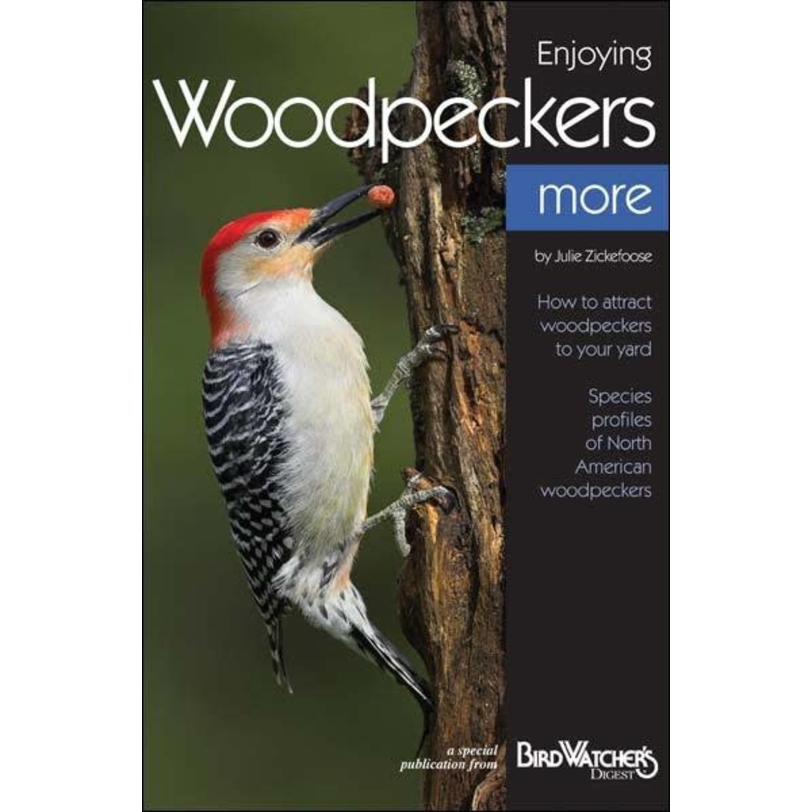 BWD: Enjoying Woodpeckers More
