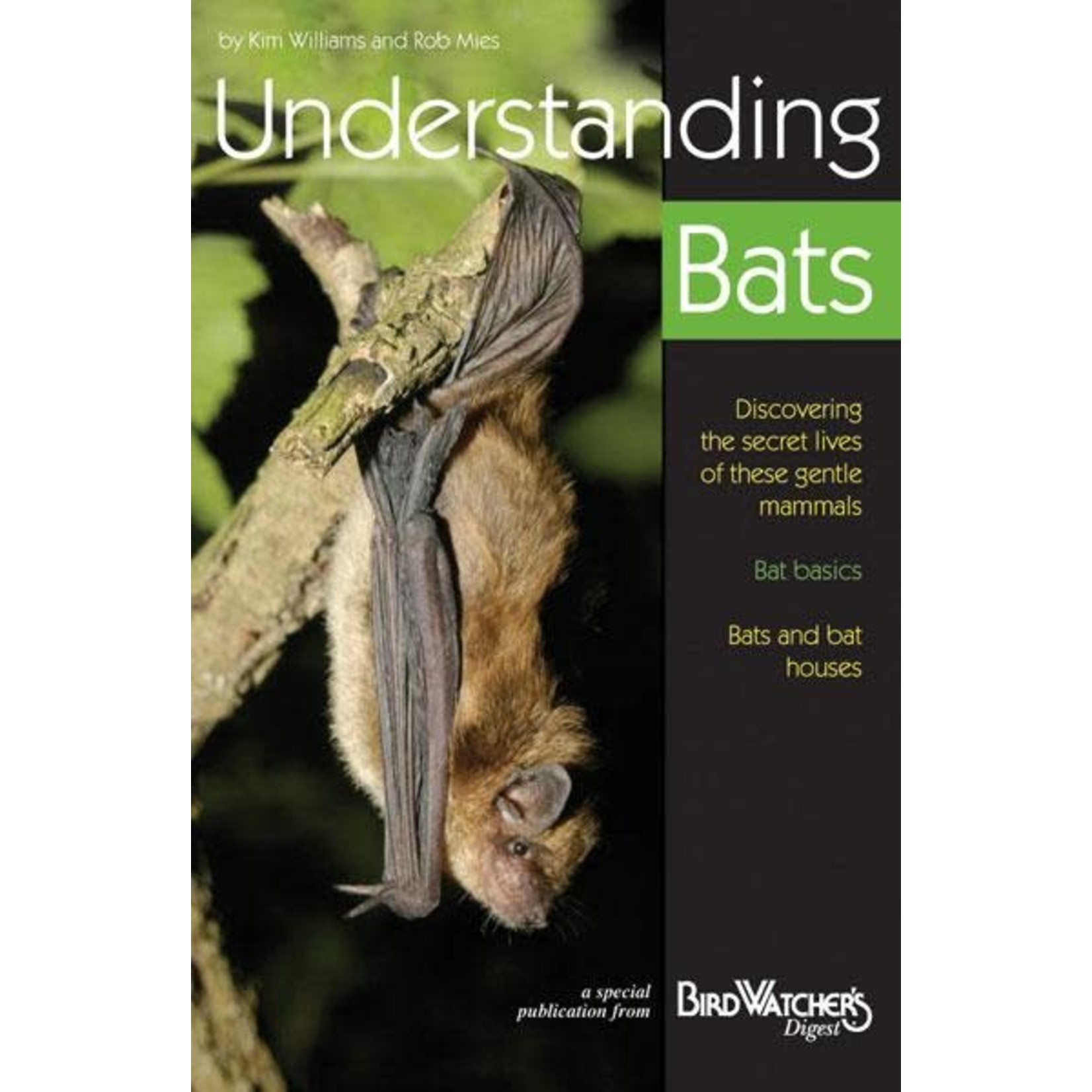 BWD: Understanding Bats