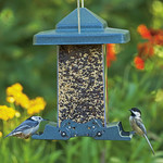 Squirrel Resistant Vista Bird Feeder