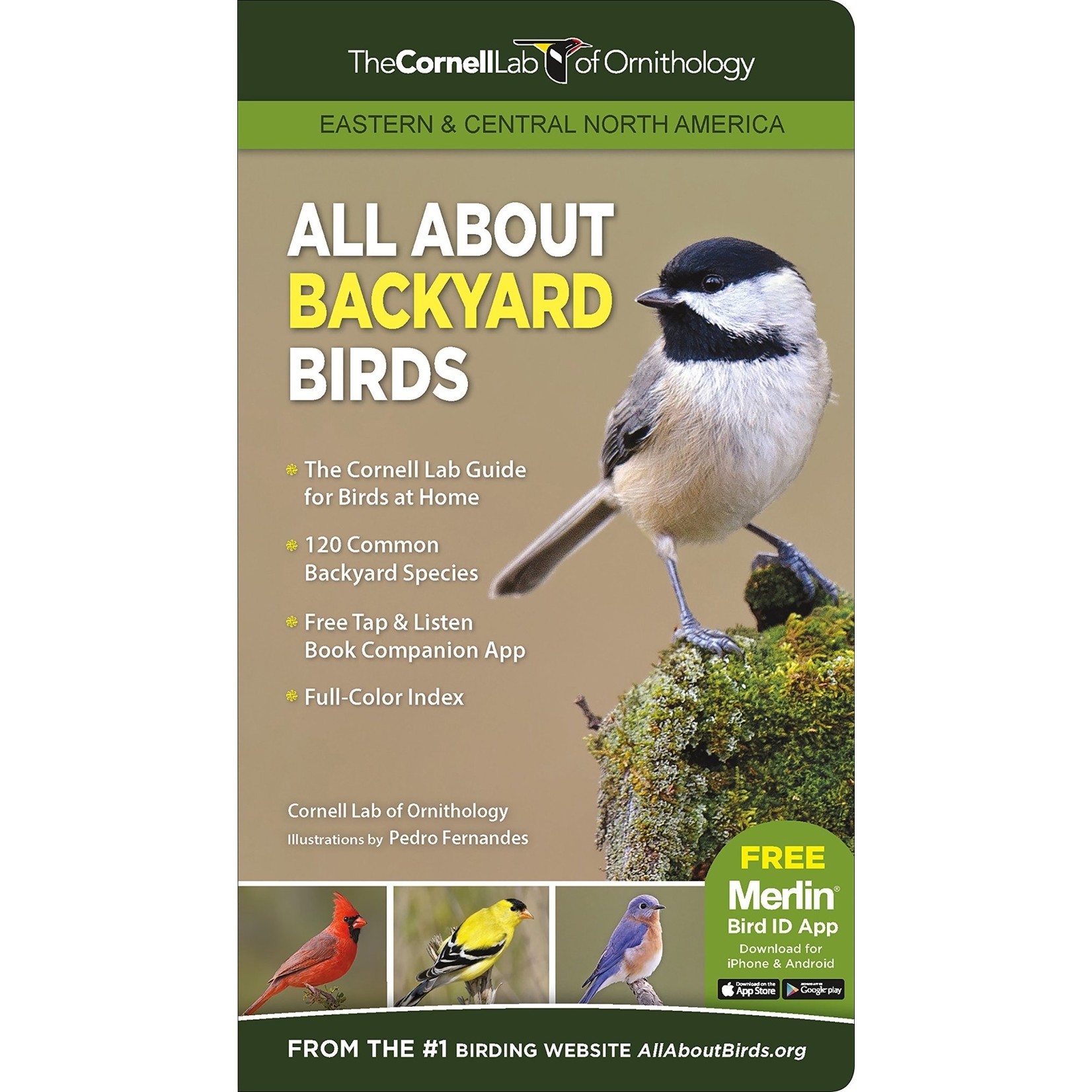 All About Backyard Birds Eastern & Central North America