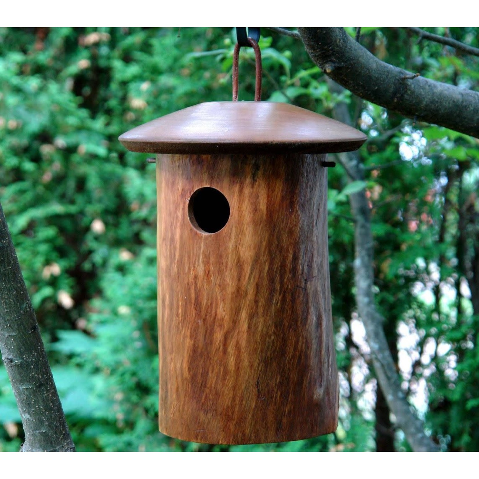 Bluebird House - Natural Mango Wood