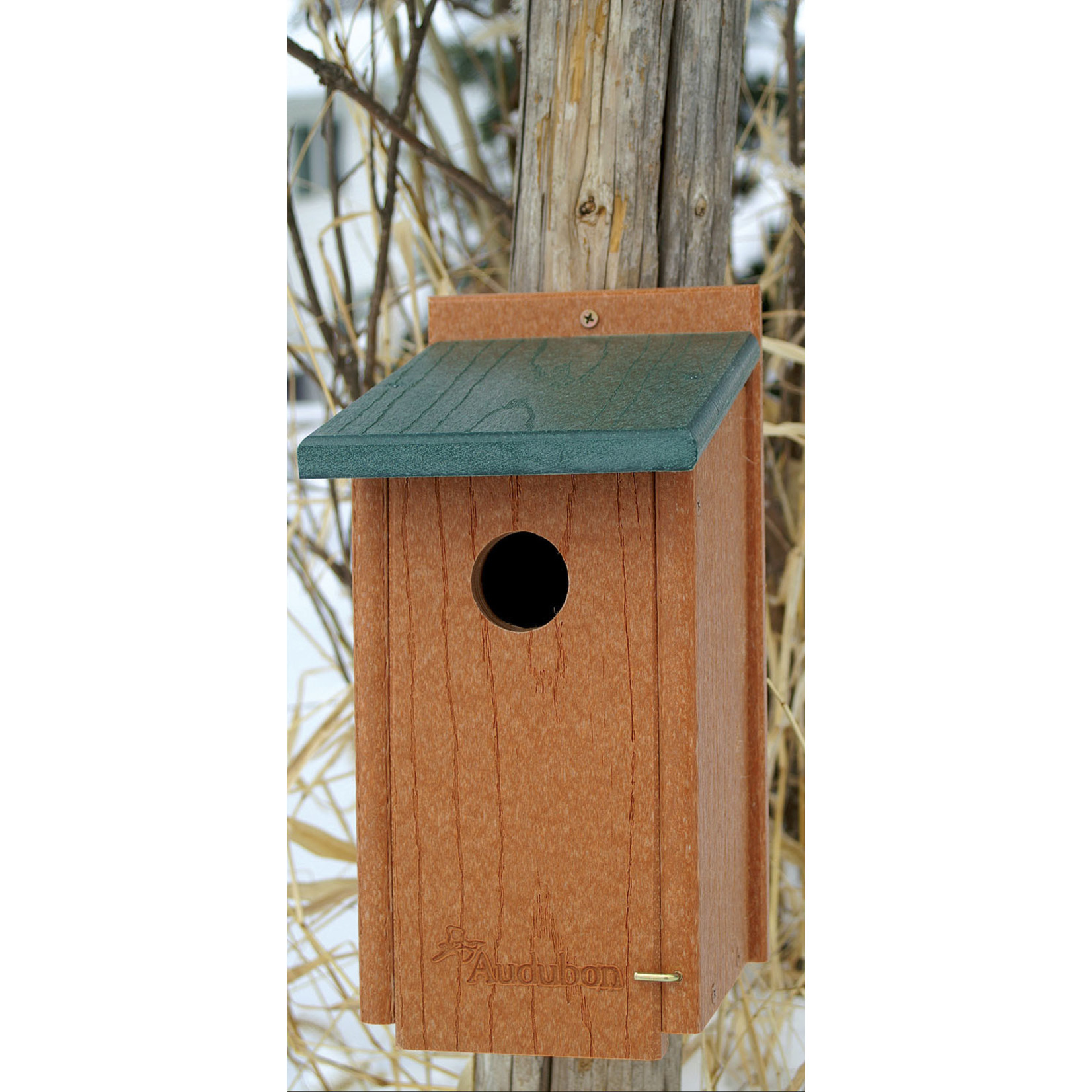 Bluebird House - Going Green