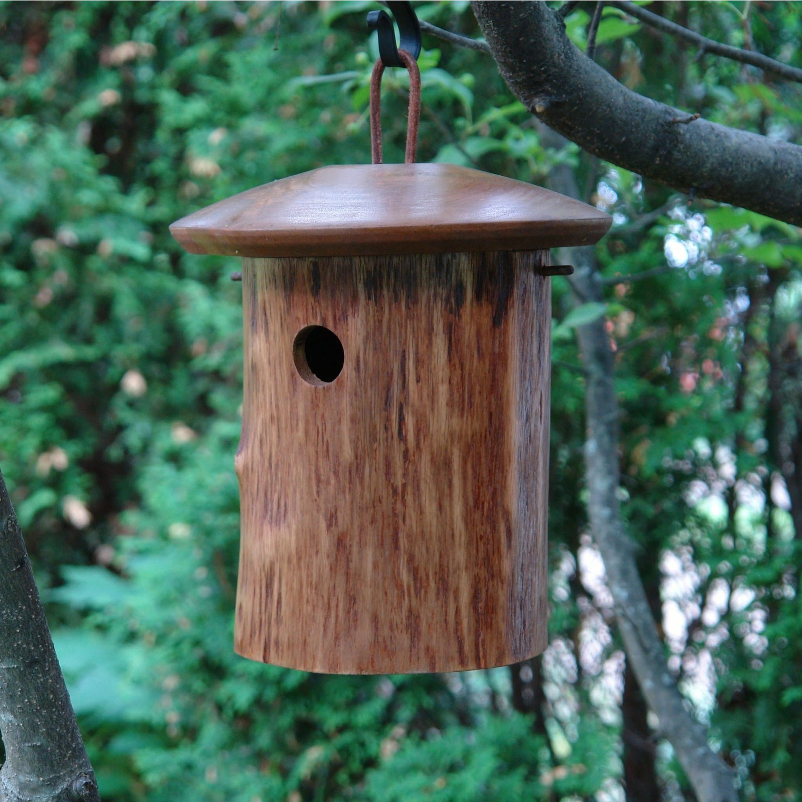 Chickadee House - Natural Mango Wood