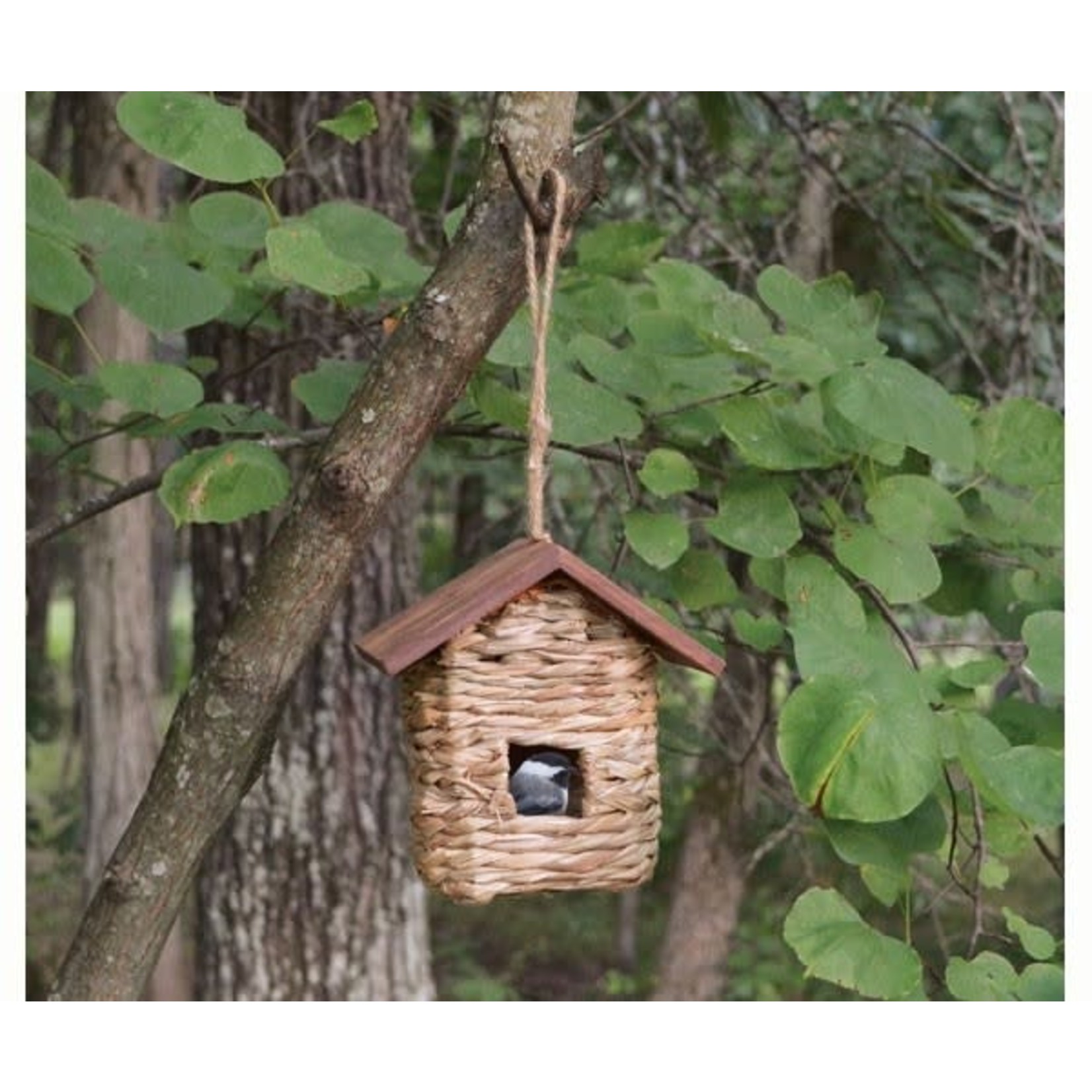 Hanging Roosting Pocket - Grass with Roof