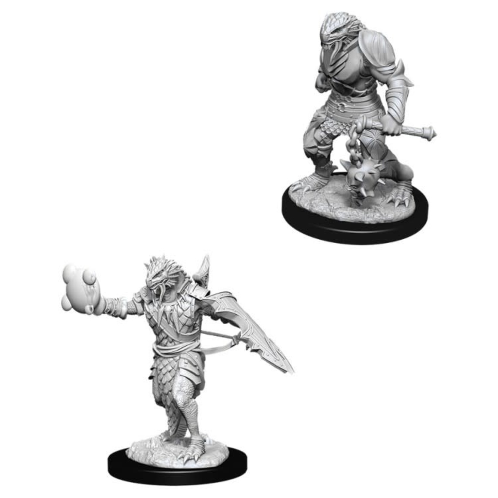 Unpainted Minis D&D | Dragonborn Paladin Male | W11 | 90002