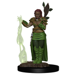 Premium Figure D&D | Human Druid Female | 93009
