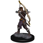 Premium Figure D&D | Elf Ranger Female | 93011
