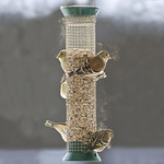 New Generation Peanut Feeder – Green