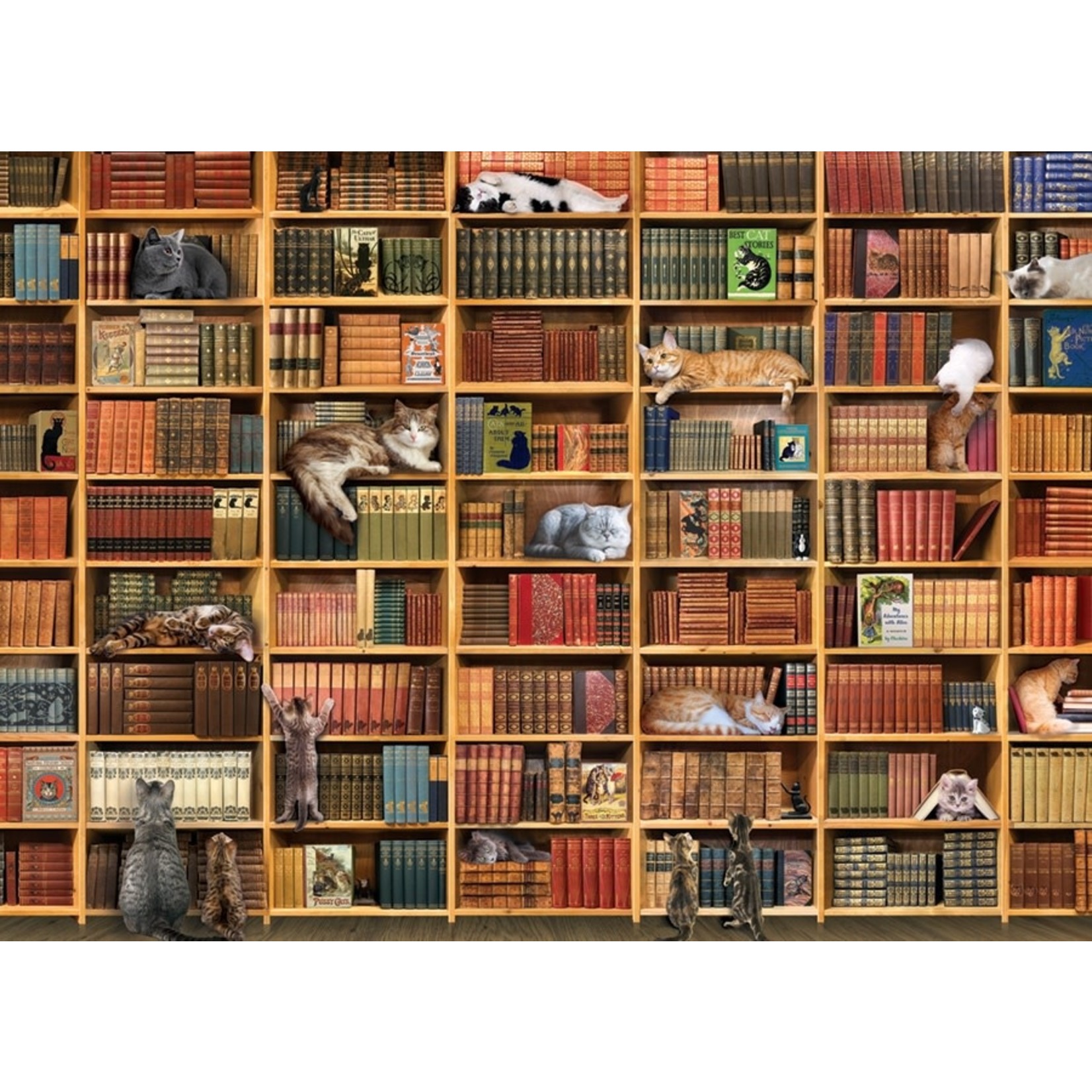 The Cat Library 1000 Piece Puzzle