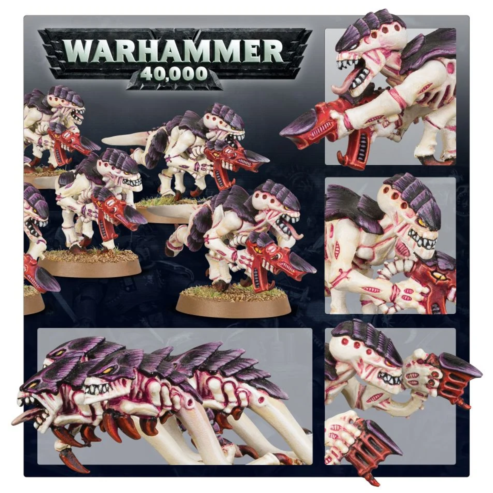 40K: Tyranids Termagant Brood