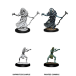 Unpainted Minis D&D | Sea Hag & Bheur Hag | W12 | 90072