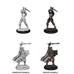 Unpainted Minis D&D | Human Paladin Male | W12 | 90060