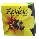 Apidaia Dragon Cache Game