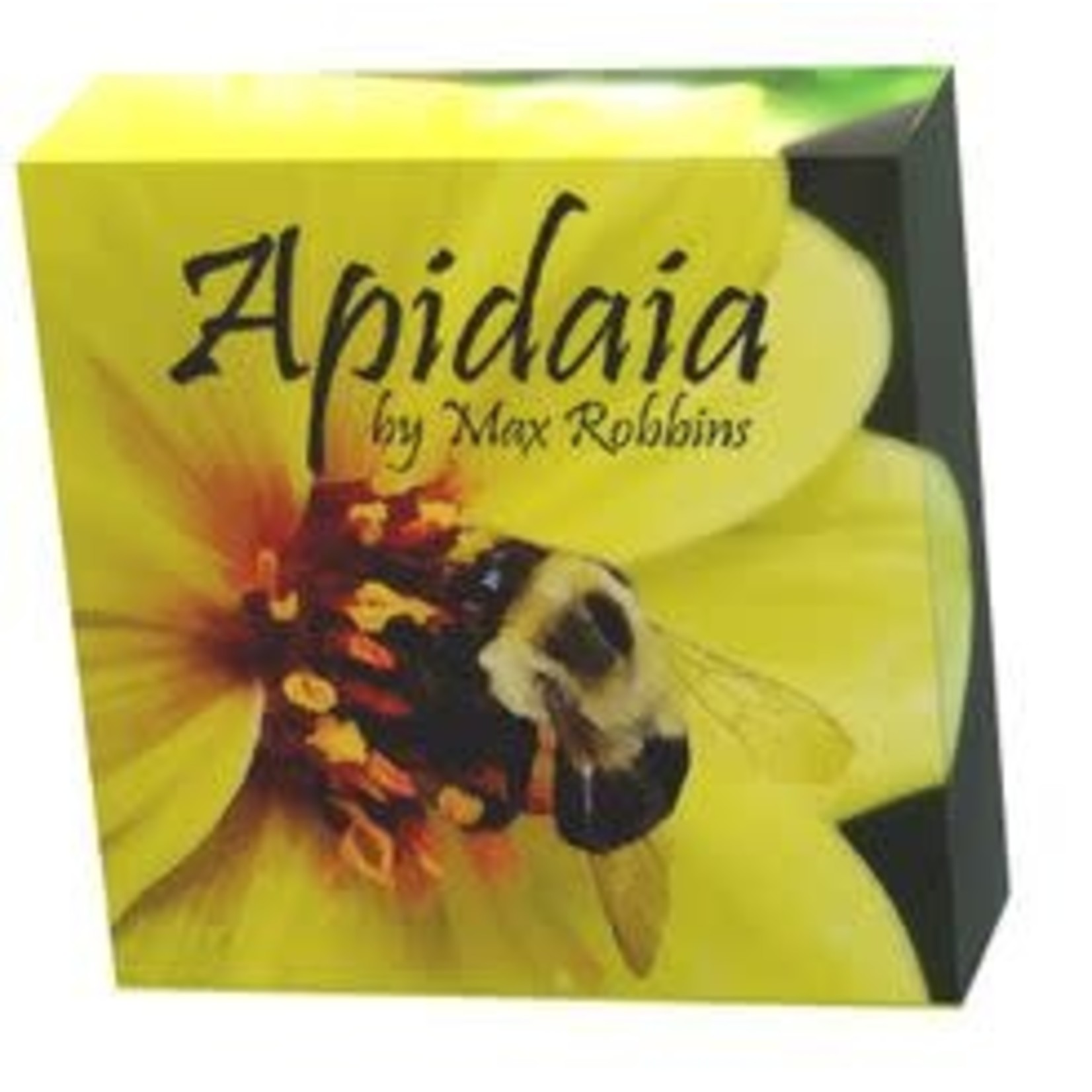 Apidaia Dragon Cache Game