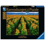 Fields of Gold 1000 Piece Puzzle