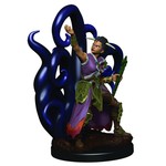 Premium Figure D&D | Human Warlock Female | 93018