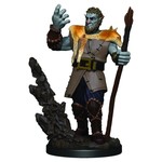 Premium Figure D&D | Firbolg Druid Male | 93013