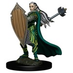 Premium Figure D&D | Elf Paladin Female | 93025