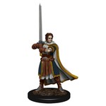 Premium Figure D&D | Human Cleric Male | 93023