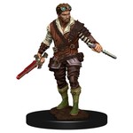 Premium Figure D&D | Human Rogue Male | 93022