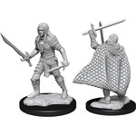 Unpainted Minis PF | Elf Fighter Male | W13 | 90169