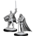 Unpainted Minis D&D | Human Paladin Male | W13 | 90136