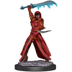 Premium Figure D&D | Human Rogue Female | 93032