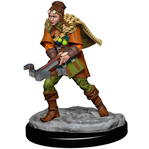 Premium Figure D&D | Human Ranger Female | 93035 - The Wandering Dragon ...