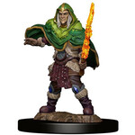 Premium Figure D&D | Elf Fighter Male | 93039