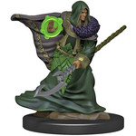 Premium Figure D&D | Elf Druid Male | 93040
