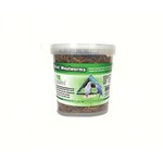 Mealworms - Dried - 7 oz Tub