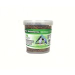 Mealworms - Dried - 7oz Tub