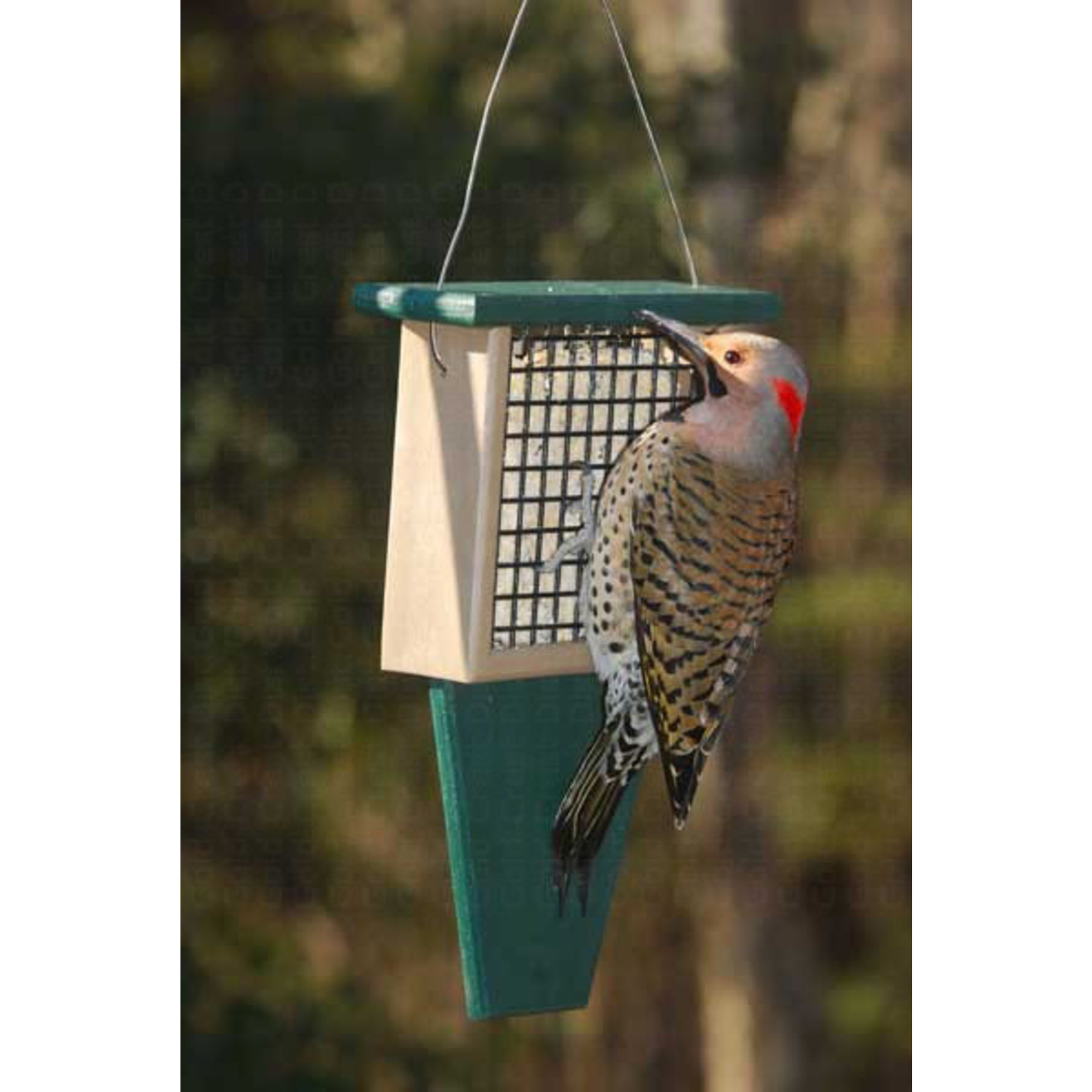 Suet or Seed Cake Feeder - Tail Prop - Hunter Driftwood