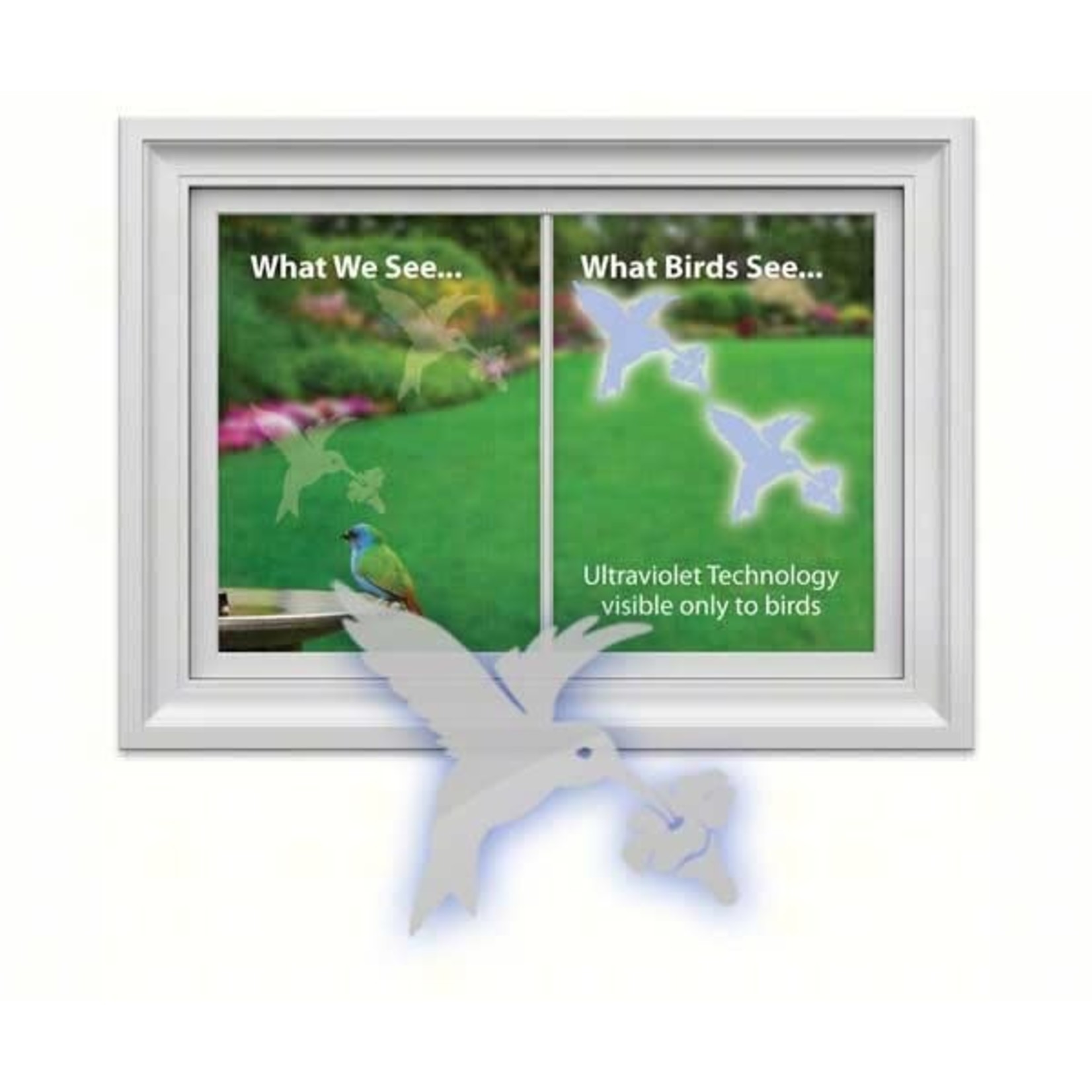 Window Decal: Hummingbird (4 Decals per package)