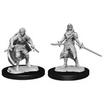 Unpainted Minis D&D | Half-Elf Rogue Female | W14 | 90228