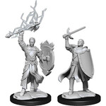 Unpainted Minis D&D | Half-Elf Paladin Male | W14 | 90230