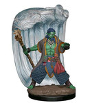 Premium Figure D&D | Water Genasi Druid Male | 93051