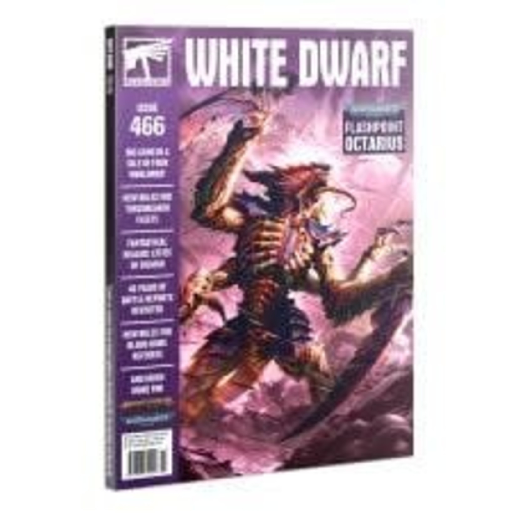 White Dwarf #466