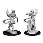 Unpainted Minis D&D | Tiefling Sorcerer Female | W15 | 90304