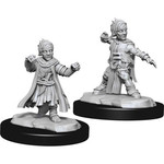 Unpainted Minis PF | Halfling Monk Male | W15 | 90328