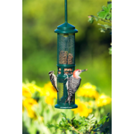 Squirrel Buster Nut Feeder