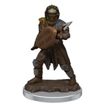 Premium Figure D&D | Human Fighter Male | 93059