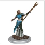 Premium Figure D&D | Elf Sorcerer Female | 93053