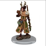 Premium Figure D&D | Human Druid Female | 93054